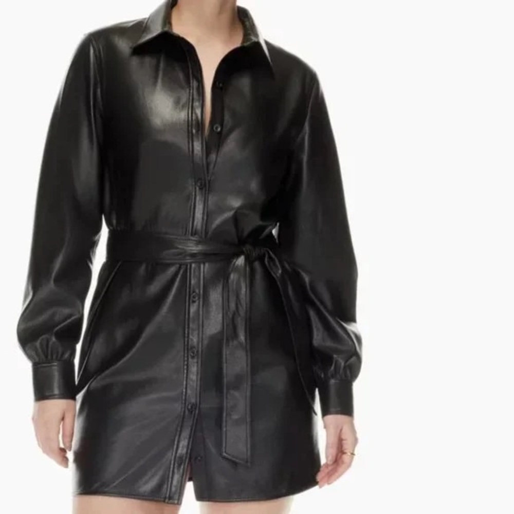 Aritzia Wilfred Vegan Leather Small Caroline Dress